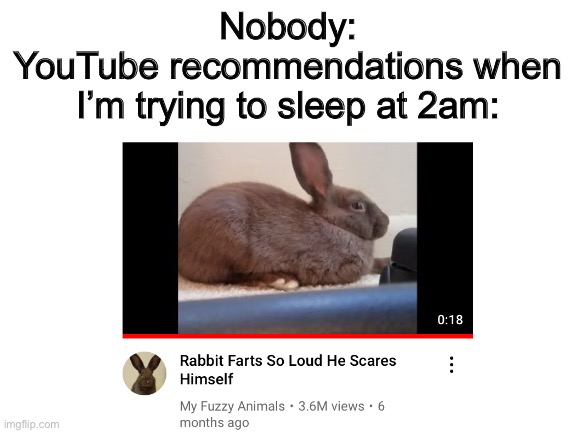 Nobody:
YouTube recommendations when I’m trying to sleep at 2am: | made w/ Imgflip meme maker