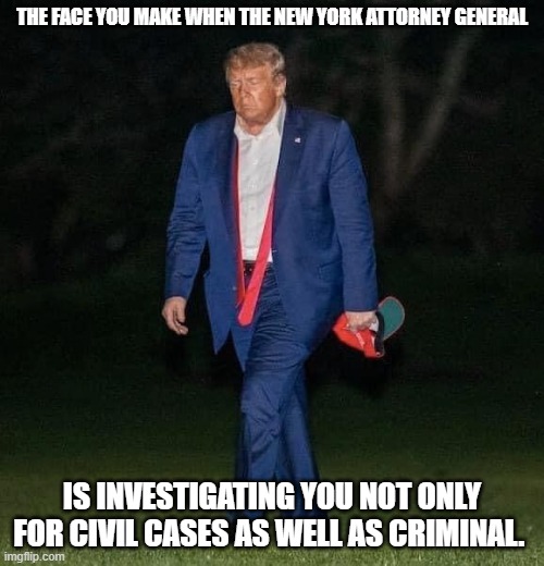 Sad Trump | THE FACE YOU MAKE WHEN THE NEW YORK ATTORNEY GENERAL; IS INVESTIGATING YOU NOT ONLY FOR CIVIL CASES AS WELL AS CRIMINAL. | image tagged in sad trump | made w/ Imgflip meme maker