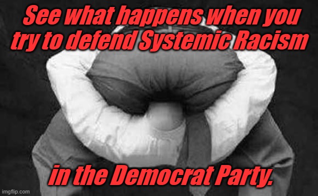 Head up ass  | See what happens when you try to defend Systemic Racism in the Democrat Party. | image tagged in head up ass | made w/ Imgflip meme maker