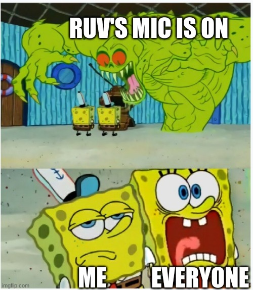 SpongeBob SquarePants scared but also not scared | RUV'S MIC IS ON; EVERYONE; ME | image tagged in spongebob squarepants scared but also not scared | made w/ Imgflip meme maker