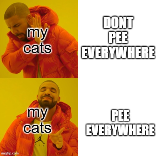 Drake Hotline Bling | my cats; DONT PEE EVERYWHERE; my cats; PEE EVERYWHERE | image tagged in memes,drake hotline bling | made w/ Imgflip meme maker