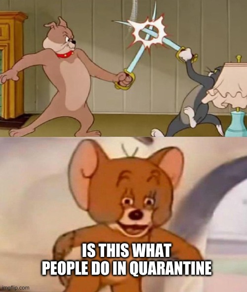 funny covid meme | IS THIS WHAT PEOPLE DO IN QUARANTINE | image tagged in tom and jerry swordfight | made w/ Imgflip meme maker