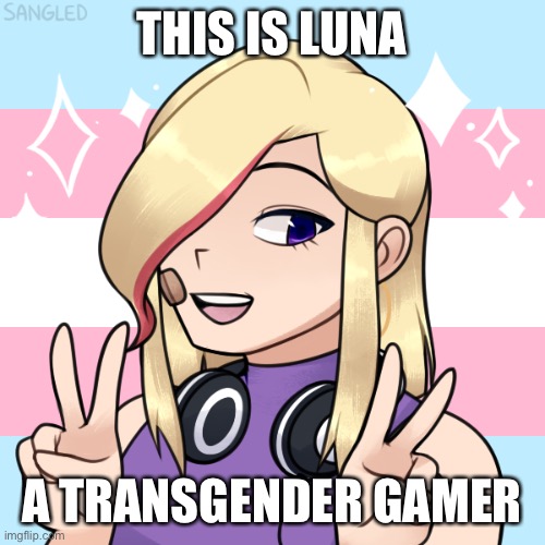 And Another | THIS IS LUNA; A TRANSGENDER GAMER | image tagged in transgender,lgbtq,all life is precious | made w/ Imgflip meme maker