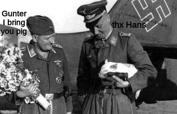 pig | Gunter I bring you pig; thx Hans | image tagged in ww2,funny | made w/ Imgflip meme maker