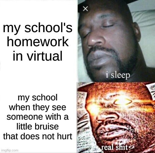 school logic | my school's homework in virtual; my school when they see someone with a little bruise that does not hurt | image tagged in memes,sleeping shaq | made w/ Imgflip meme maker