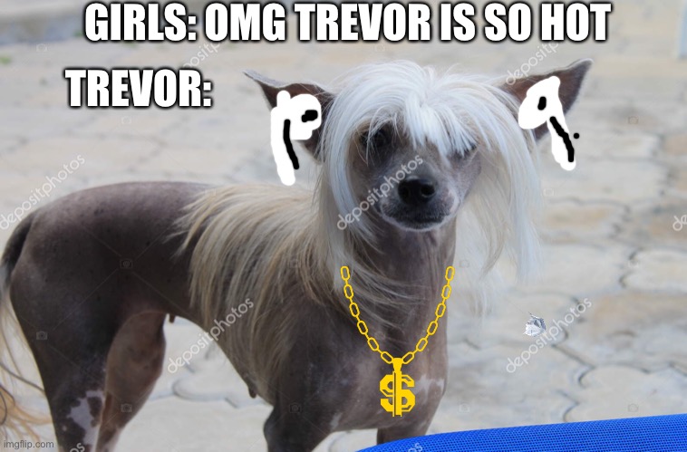 Sixth grade true ngl | GIRLS: OMG TREVOR IS SO HOT; TREVOR: | image tagged in hot dog | made w/ Imgflip meme maker