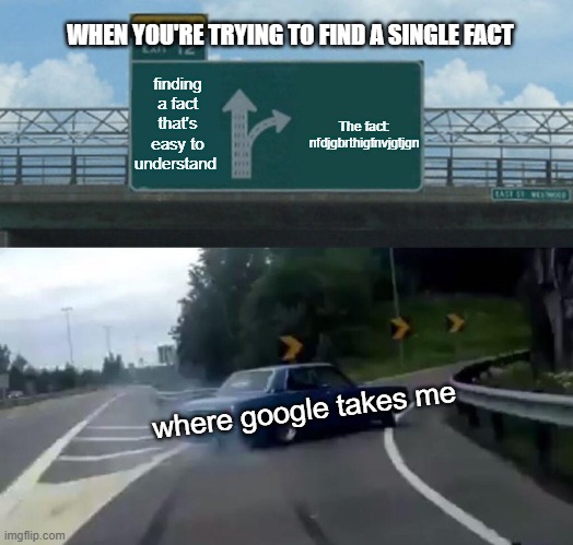 Left Exit 12 Off Ramp Meme | WHEN YOU'RE TRYING TO FIND A SINGLE FACT; finding a fact that's easy to understand; The fact: nfdjgbrthigfnvjgtjgn; where google takes me | image tagged in memes,left exit 12 off ramp | made w/ Imgflip meme maker