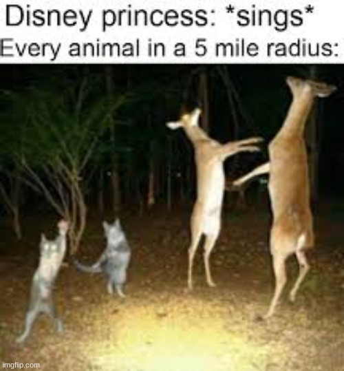 Disney meme | image tagged in funny memes | made w/ Imgflip meme maker