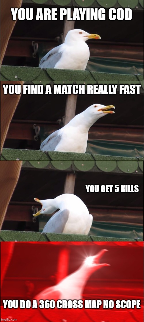 Inhaling Seagull | YOU ARE PLAYING COD; YOU FIND A MATCH REALLY FAST; YOU GET 5 KILLS; YOU DO A 360 CROSS MAP NO SCOPE | image tagged in memes,inhaling seagull | made w/ Imgflip meme maker