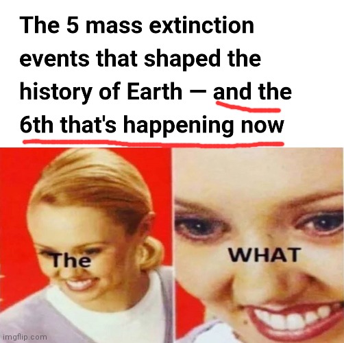 image tagged in the what | made w/ Imgflip meme maker