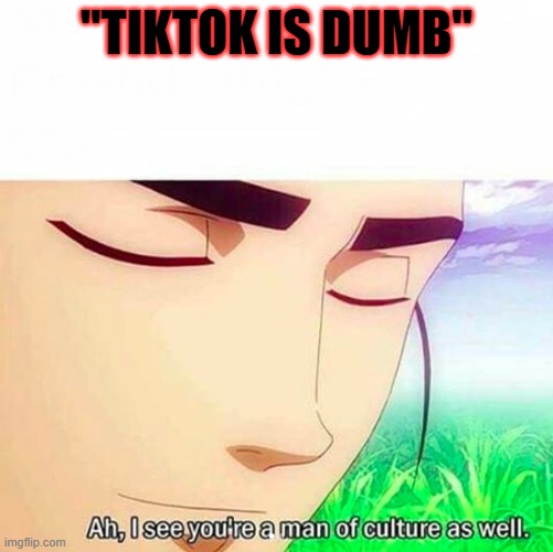 Ah,I see you are a man of culture as well | "TIKTOK IS DUMB" | image tagged in ah i see you are a man of culture as well | made w/ Imgflip meme maker