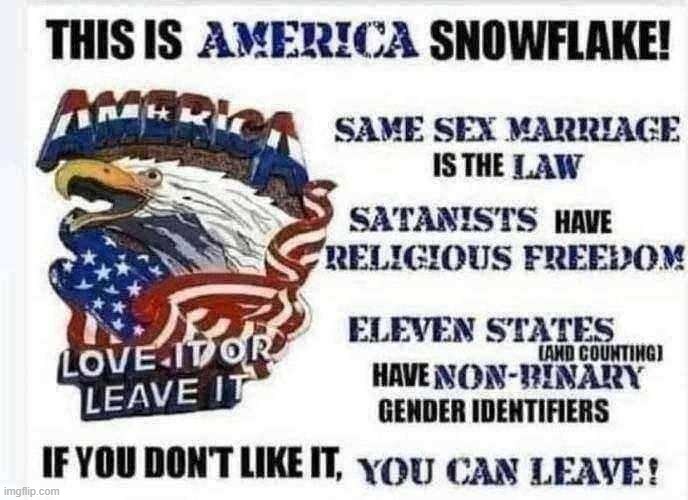 are you going to leave america, snowflake? | image tagged in this is america snowflake | made w/ Imgflip meme maker