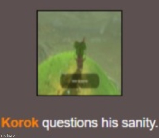 Korok questions his sanity | image tagged in korok questions his sanity | made w/ Imgflip meme maker