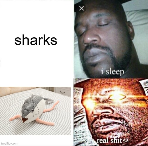 idk | sharks | image tagged in memes,sleeping shaq | made w/ Imgflip meme maker