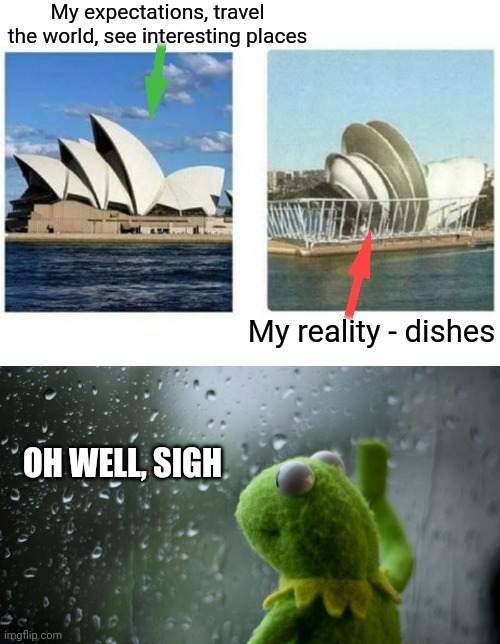 Kermit Sigh | image tagged in kermit the frog,kermit window,unrealistic expectations,sydney,dishes | made w/ Imgflip meme maker