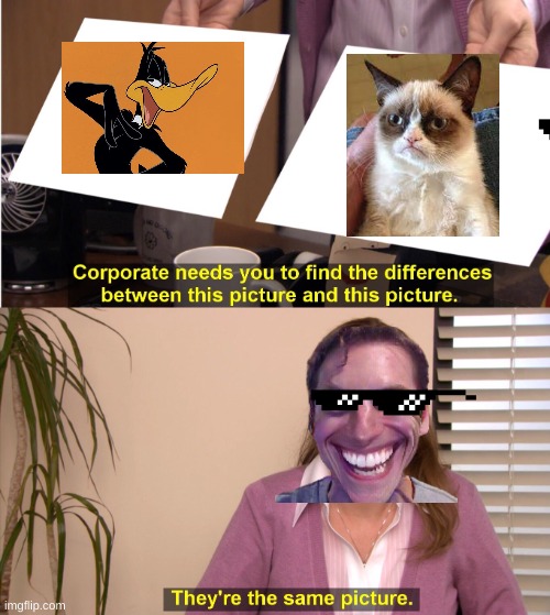 same picture | image tagged in memes,they're the same picture | made w/ Imgflip meme maker