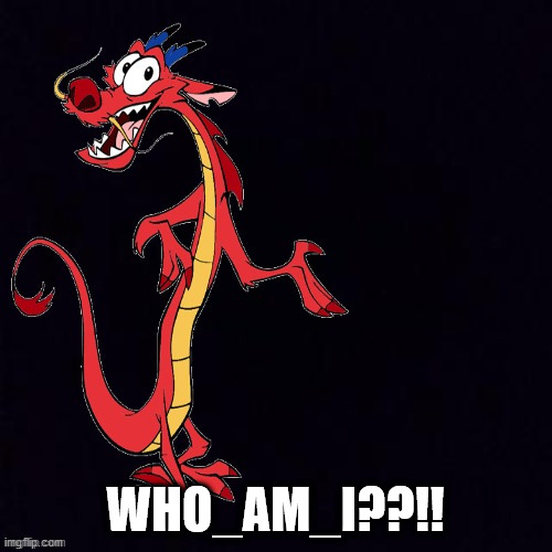 WHO_AM_I??!! | image tagged in mushu | made w/ Imgflip meme maker