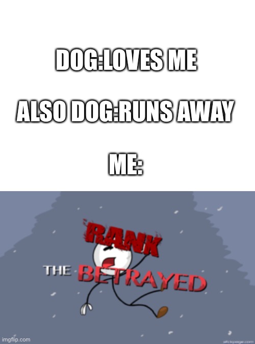 DOG:LOVES ME; ALSO DOG:RUNS AWAY
 
ME: | image tagged in blank white template,the betrayed | made w/ Imgflip meme maker