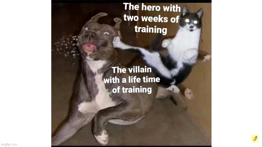 Interesting | image tagged in cats,dogs | made w/ Imgflip meme maker