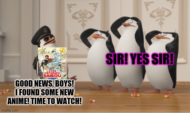 These penguins love anime! | SIR! YES SIR! GOOD NEWS, BOYS! I FOUND SOME NEW ANIME! TIME TO WATCH! | image tagged in penguins of madagascar,pro anime penguins,anime,cells at work | made w/ Imgflip meme maker