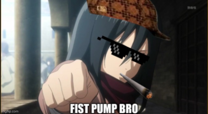 Dank Mikasa | image tagged in aot | made w/ Imgflip meme maker