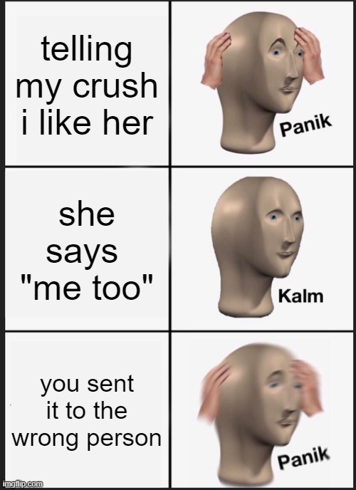 oh sh*t | telling my crush i like her; she says  "me too"; you sent it to the wrong person | image tagged in memes,panik kalm panik | made w/ Imgflip meme maker