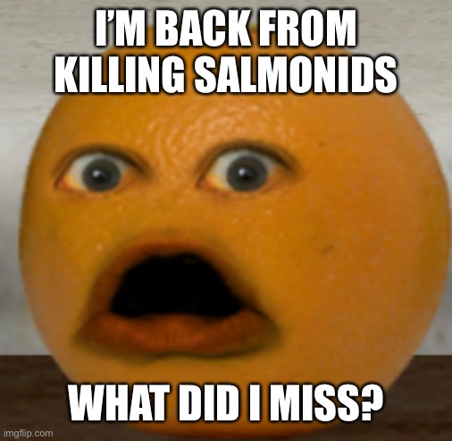 Shocked Orange | I’M BACK FROM KILLING SALMONIDS; WHAT DID I MISS? | image tagged in shocked orange | made w/ Imgflip meme maker