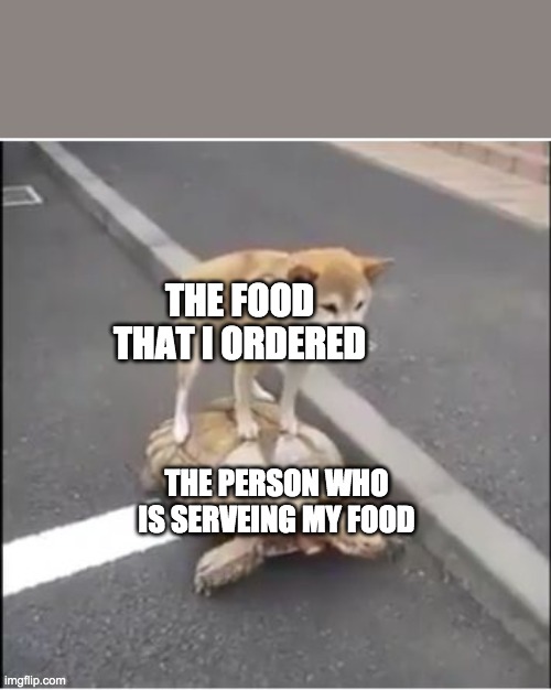 doge turtle | THE FOOD THAT I ORDERED; THE PERSON WHO IS SERVEING MY FOOD | image tagged in doge turtle | made w/ Imgflip meme maker