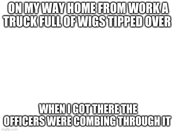 Enter Title Here | ON MY WAY HOME FROM WORK A TRUCK FULL OF WIGS TIPPED OVER; WHEN I GOT THERE THE OFFICERS WERE COMBING THROUGH IT | image tagged in blank white template | made w/ Imgflip meme maker