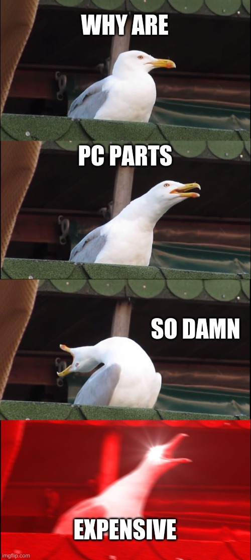 Inhaling Seagull | WHY ARE; PC PARTS; SO DAMN; EXPENSIVE | image tagged in memes,inhaling seagull | made w/ Imgflip meme maker