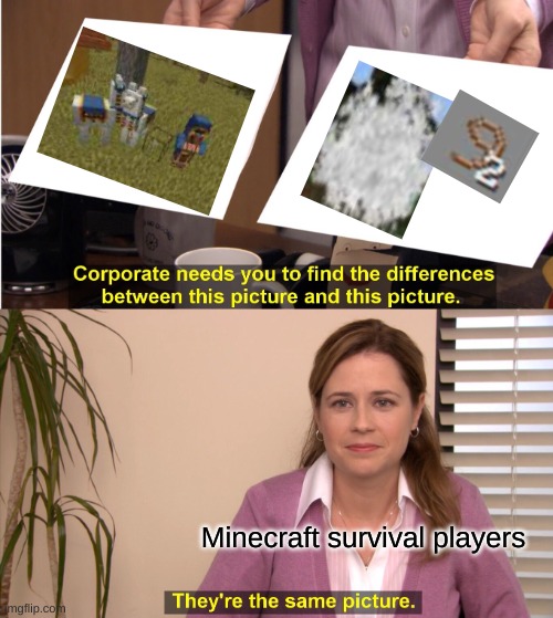 It's destined to be true | Minecraft survival players | image tagged in memes,they're the same picture | made w/ Imgflip meme maker