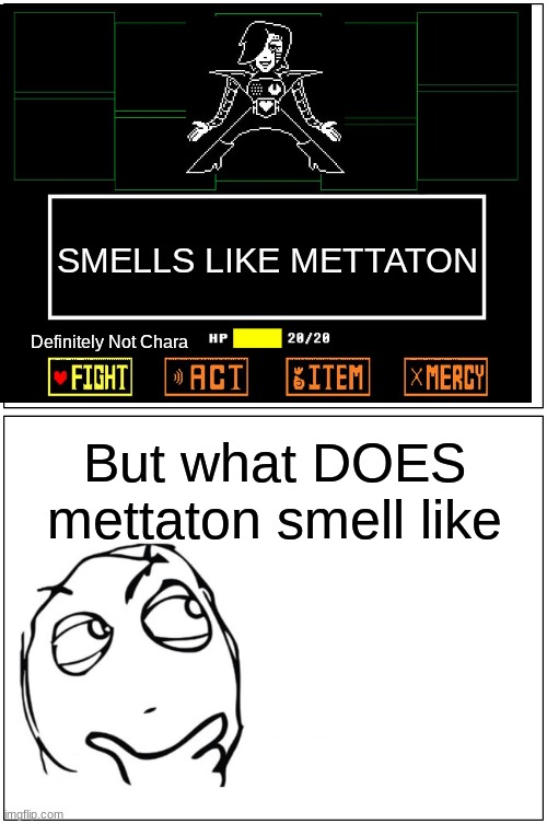 Blank Comic Panel 1x2 Meme | SMELLS LIKE METTATON; Definitely Not Chara; But what DOES mettaton smell like | image tagged in memes,blank comic panel 1x2 | made w/ Imgflip meme maker
