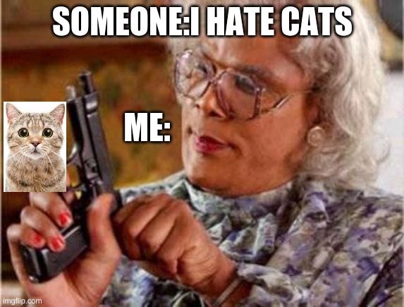 cats rule!!!!!! | SOMEONE:I HATE CATS; ME: | image tagged in cats,guns,go cats | made w/ Imgflip meme maker