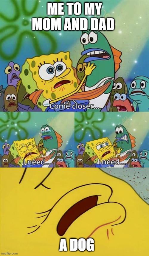 spongebob come closer template |  ME TO MY MOM AND DAD; A DOG | image tagged in spongebob come closer template | made w/ Imgflip meme maker