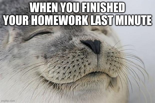 satisfaction | WHEN YOU FINISHED YOUR HOMEWORK LAST MINUTE | image tagged in memes,satisfied seal | made w/ Imgflip meme maker