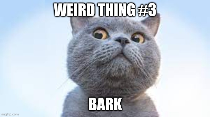weird thing #3 | WEIRD THING #3; BARK | image tagged in cats,bark,weird | made w/ Imgflip meme maker