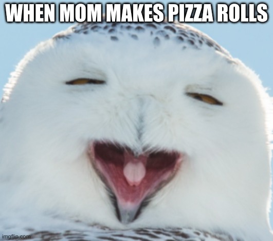 happy |  WHEN MOM MAKES PIZZA ROLLS | image tagged in dumb face owl | made w/ Imgflip meme maker