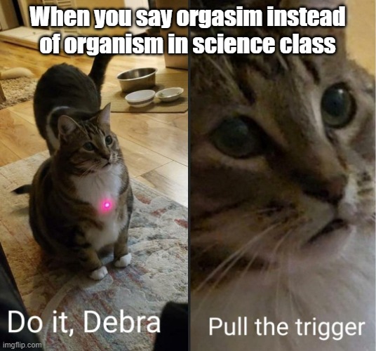 do it debra | When you say orgasim instead of organism in science class | image tagged in do it debra pull the trigger | made w/ Imgflip meme maker