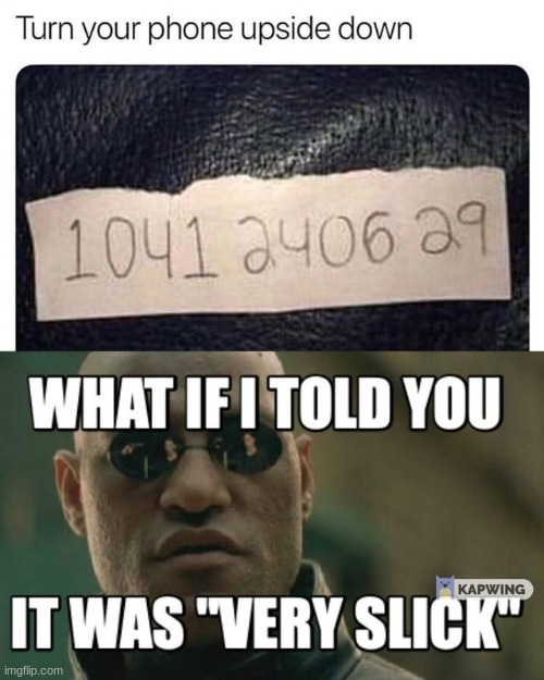 image tagged in memes | made w/ Imgflip meme maker