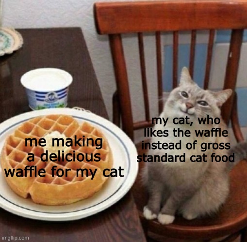 stupid gross standard cat food! treat your cat to a luxurious waffle! (feel free to repost. waffles must be fed to cats.) | my cat, who likes the waffle instead of gross standard cat food; me making a delicious waffle for my cat | image tagged in cat likes their waffle | made w/ Imgflip meme maker