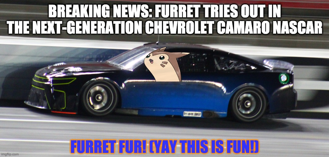 surlykong's gonna like this | BREAKING NEWS: FURRET TRIES OUT IN THE NEXT-GENERATION CHEVROLET CAMARO NASCAR; FURRET FUR! (YAY THIS IS FUN!) | image tagged in nascar,furret,nmcs,memes | made w/ Imgflip meme maker