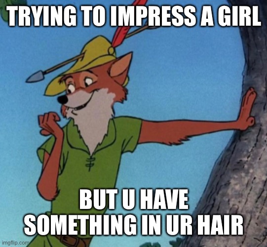 Robin Hood | TRYING TO IMPRESS A GIRL; BUT U HAVE SOMETHING IN UR HAIR | image tagged in robin hood | made w/ Imgflip meme maker