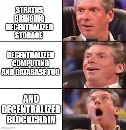 Excited man | STRATOS BRINGING DECENTRALIZED STORAGE; DECENTRALIZED COMPUTING AND DATABASE TOO; AND DECENTRALIZED BLOCKCHAIN | image tagged in excited man | made w/ Imgflip meme maker