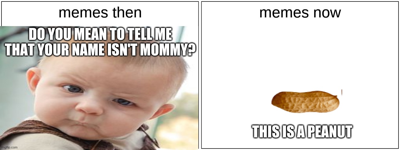 Blank Comic Panel 2x1 Meme | memes then; memes now; DO YOU MEAN TO TELL ME THAT YOUR NAME ISN'T MOMMY? THIS IS A PEANUT | image tagged in memes,blank comic panel 2x1 | made w/ Imgflip meme maker