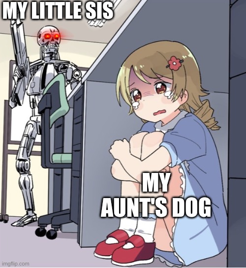 My aunt's poor doggy | MY LITTLE SIS; MY AUNT'S DOG | image tagged in anime girl hiding from terminator | made w/ Imgflip meme maker