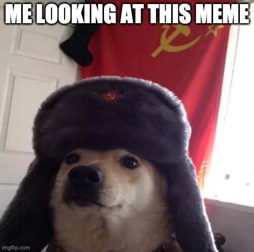 Russian Doge | ME LOOKING AT THIS MEME | image tagged in russian doge | made w/ Imgflip meme maker
