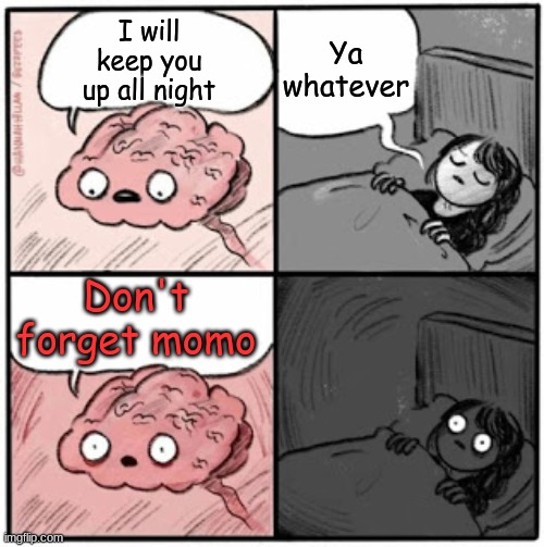 Brain Before Sleep | Ya whatever; I will keep you up all night; Don't forget momo | image tagged in brain before sleep | made w/ Imgflip meme maker