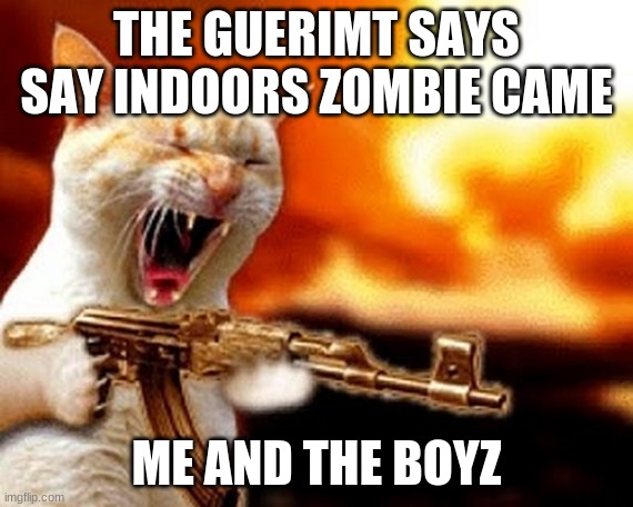 machine gun cat | THE GUERIMT SAYS SAY INDOORS ZOMBIE CAME; ME AND THE BOYZ | image tagged in machine gun cat | made w/ Imgflip meme maker