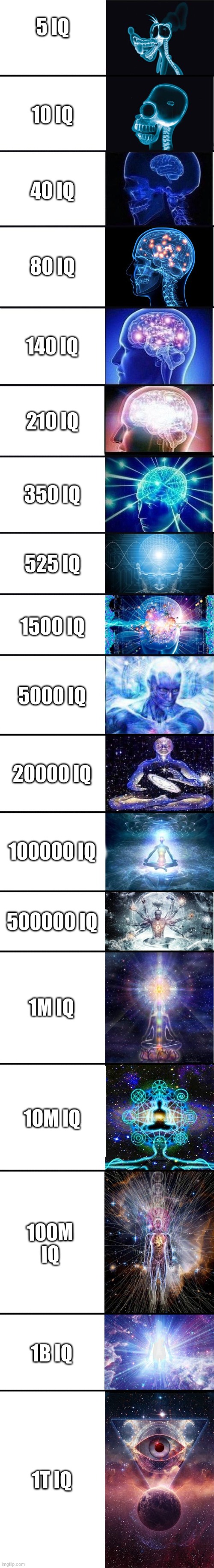 CAT BRAIN | 5 IQ; 10 IQ; 40 IQ; 80 IQ; 140 IQ; 210 IQ; 350 IQ; 525 IQ; 1500 IQ; 5000 IQ; 20000 IQ; 100000 IQ; 500000 IQ; 1M IQ; 10M IQ; 100M IQ; 1B IQ; 1T IQ | image tagged in expanding brain 9001 | made w/ Imgflip meme maker