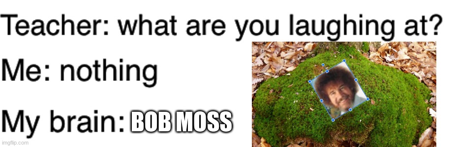 Teacher what are you laughing at | BOB MOSS | image tagged in teacher what are you laughing at | made w/ Imgflip meme maker